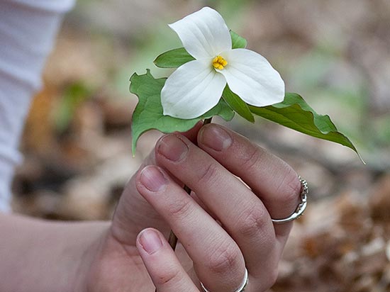 Student holding white flower