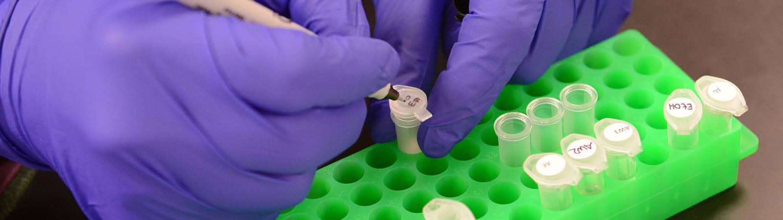 Student labeling biotechnology samples as part of an undergraduate research project.