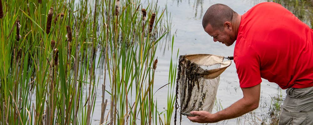 A man wearing a t-shirt and cargo pants leans over a shoreline to examine the inside of a fishing net, which is dripping and covered with algae.