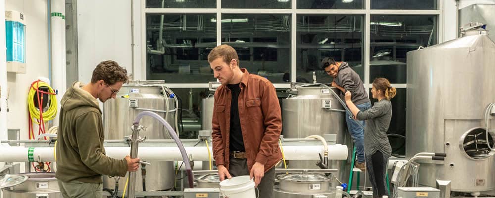 Viticulture students at the FLCC Viticulture and Wine Center